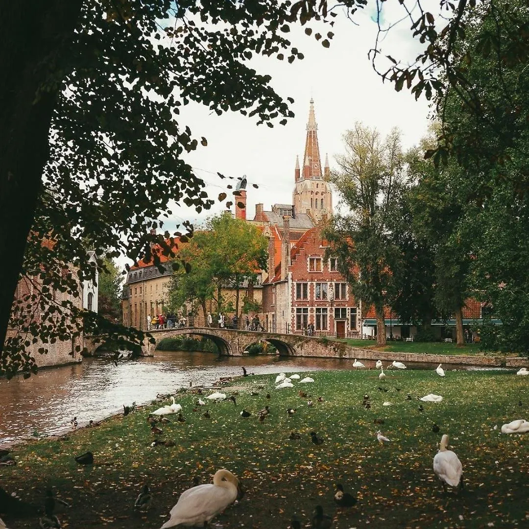 Bonnie 0*, Bruges Belgium